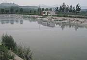 尼龍魚塘防鳥網(wǎng)