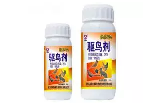 小鳥愛吃櫻桃、桑葚……趕鳥神器看這里~~~